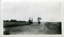 Entraînement de chevaux de course de Fortunat Vohl