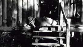 Au club Tourilli avec Alex Germain Joseph Cantin Édouard Piché et Louis Germain