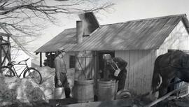 Aux sucres chez M Lefrancois