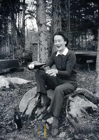 Original Document numérique not accessible