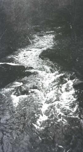 Rivière