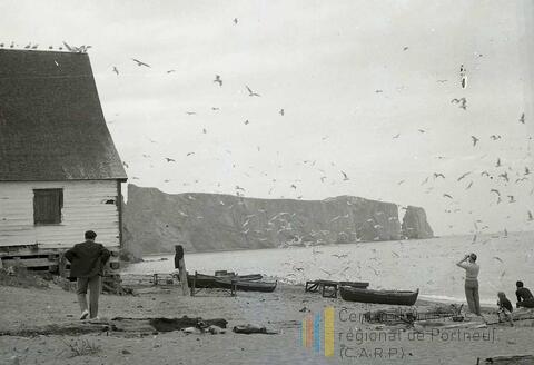 Original Document numérique not accessible