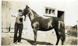 Fortunat Vohl avec son cheval devant l’étable