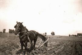 Marcel tenant les mancherons