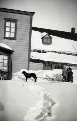 Un homme avec un traîneau à chien