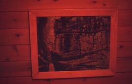 Toile