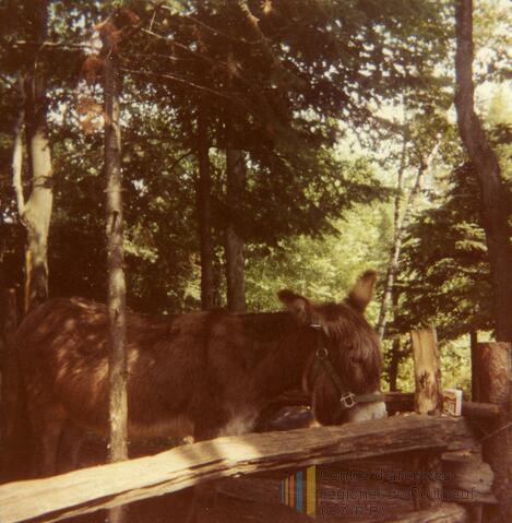 Original Document numérique not accessible