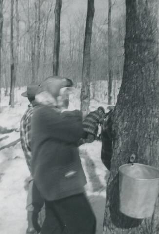 Original Document numérique not accessible