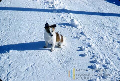 Original Document numérique not accessible