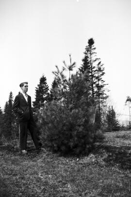 Un homme près d'un petit arbre