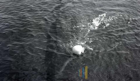 Original Document numérique not accessible