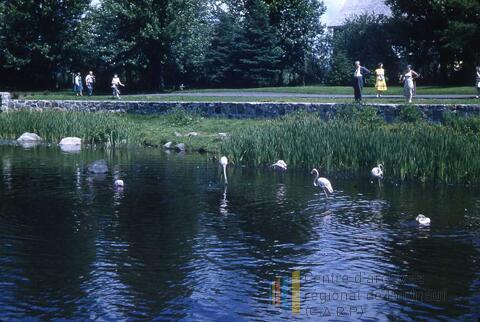 Original Document numérique not accessible