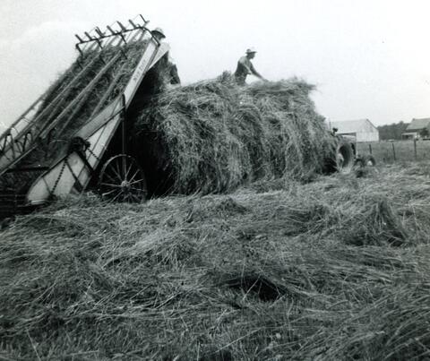 Original Document numérique not accessible