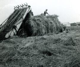 1re année du Chargeur à foin