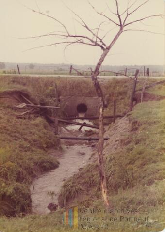 Original Document numérique not accessible