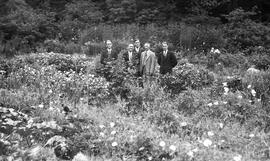 Déry, Georges-Édouard