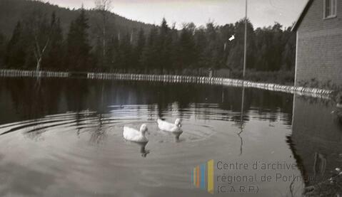 Original Document numérique not accessible