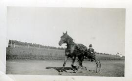 Fortunat Vohl conduisant son cheval