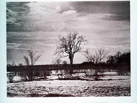 Fonds Louise Laganière