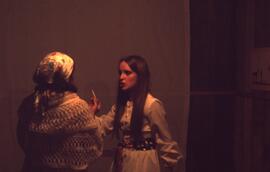Spectacle en guise d'animation