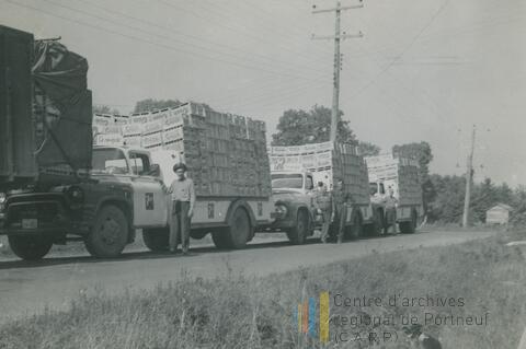 Original Document numérique not accessible