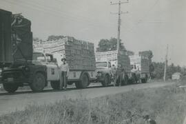 Chargements -  Les liqueurs Leduc