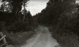 Paysage - Mm Lirette et Jeannette au noce