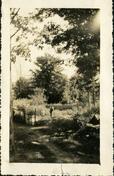 Deux individus non identifiés dans un jardin